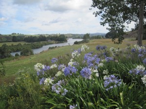 Looking out at the river near the start of the trails